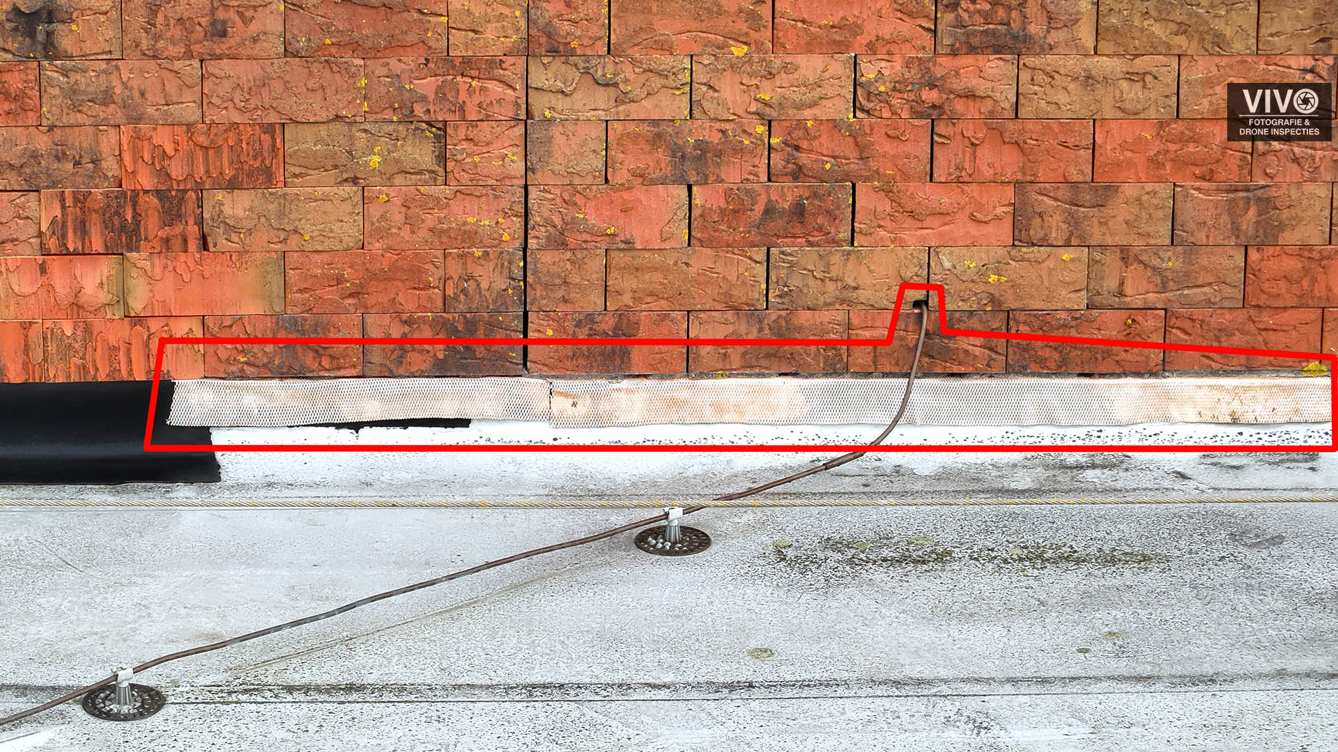 professionele fotograaf rotterdam