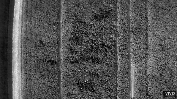 Gewasschade-inspecties