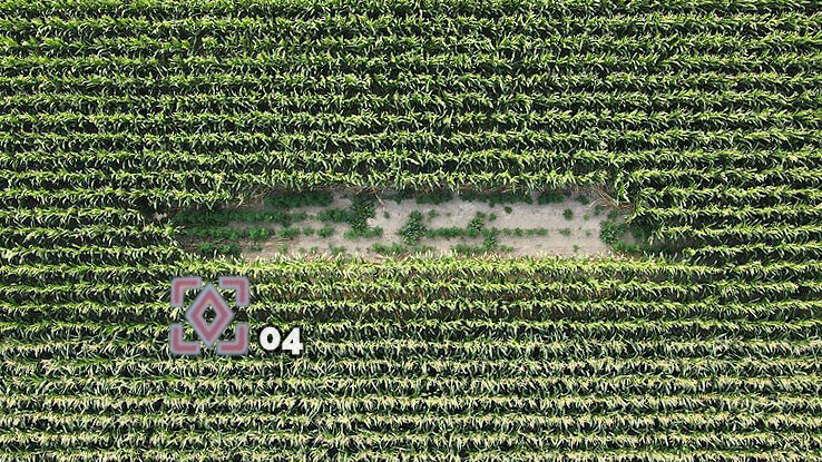 infrarood landbouw inspecties hoeksche waard