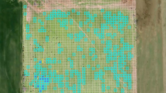 ridderzuring opsporen drones