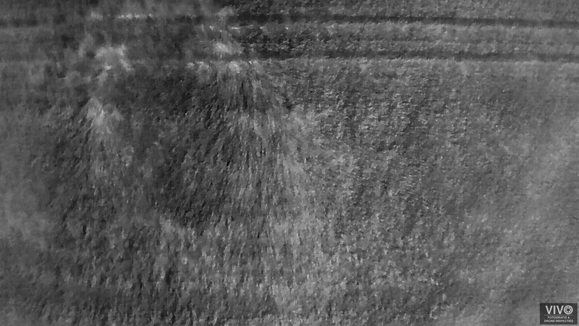 gewas inspectie zuid holland