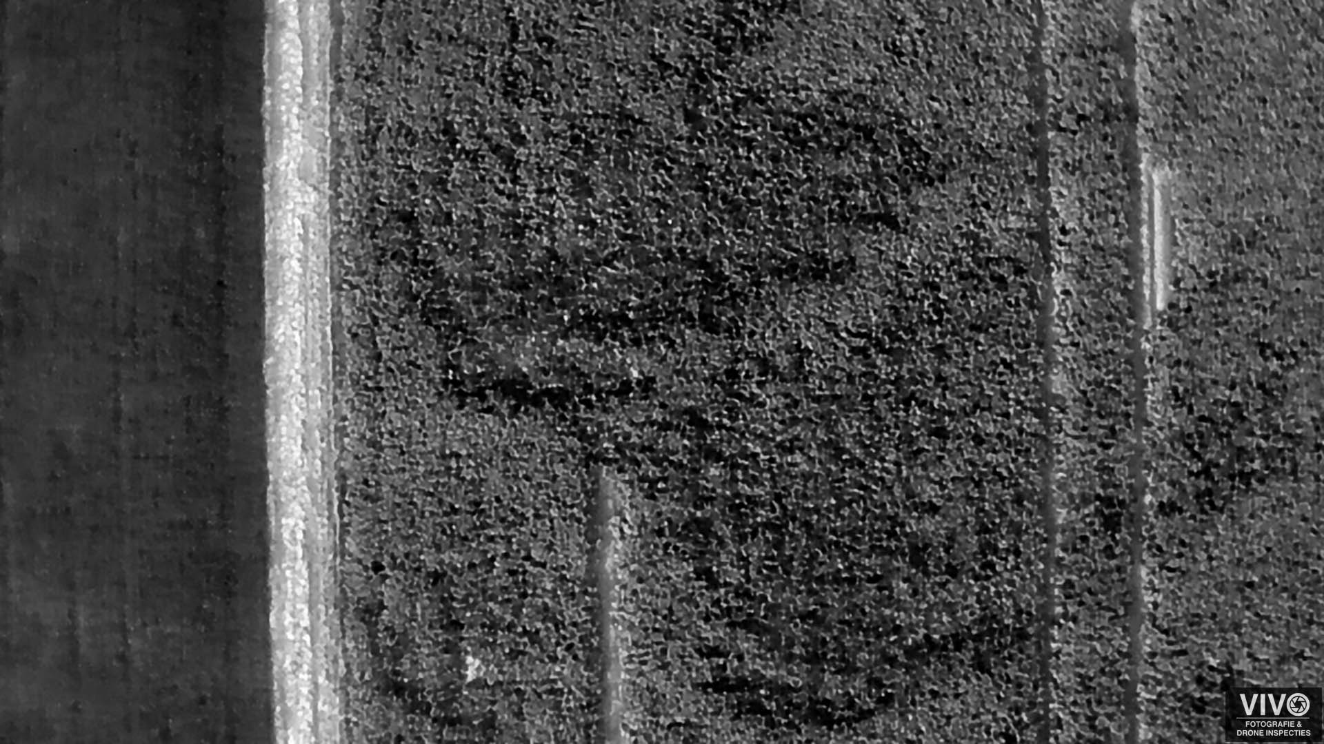 gewasschade inspectie drones